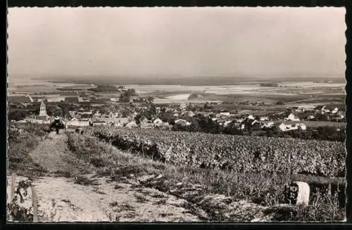 AK Oger /Avize, Vignobles d`Oger, Vue generale