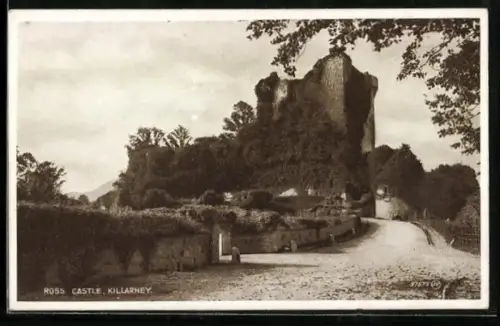 AK Killarney, Ross Castle