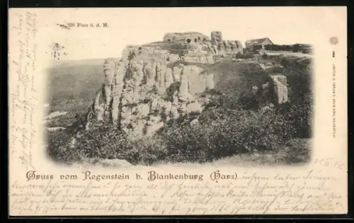 AK Blankenburg /Harz, Regenstein