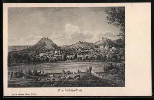 AK Blankenburg / Harz, Ortsansicht