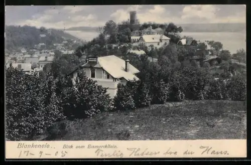 AK Hamburg-Blankenese, Blick vom Bismarckstein