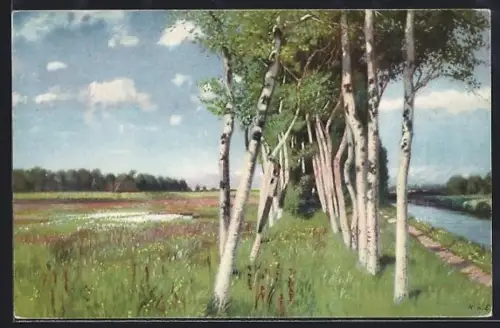 Künstler-AK Meissner & Buch (M&B) Nr.: 2566, Birkenallee an einem Sommertag