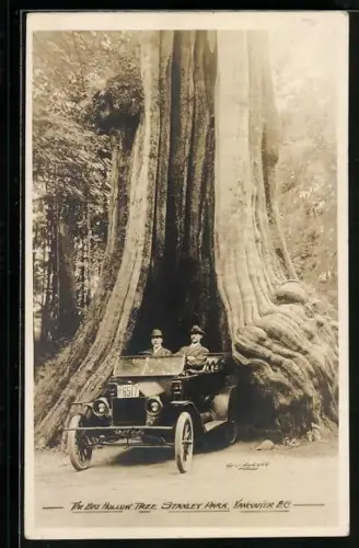 AK Vancouver /B.C., The Big Hollow Tree im Stanley Park