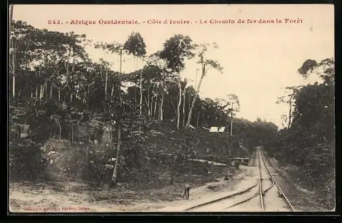 AK Côte d`Ivoire, Le Chemin de fer dans la Forêt