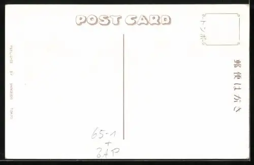 AK Tokyo, Tokyo Station, Omnibus