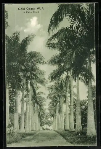 AK Gold Coast, A Palm Road