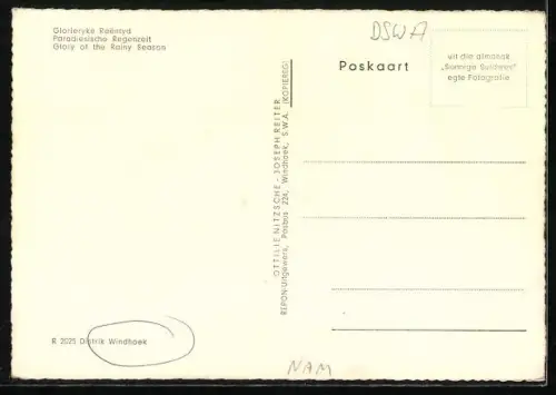 AK Windhoek, Panorama