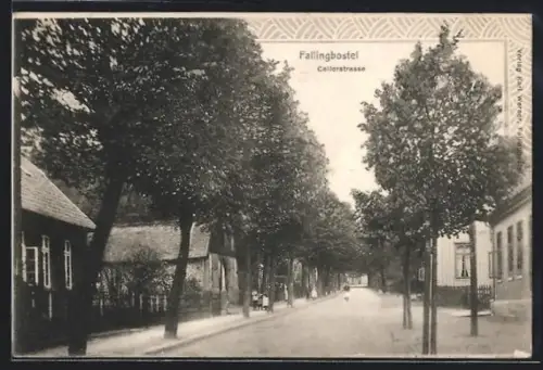 AK Fallingbostel, In der Cellerstrasse