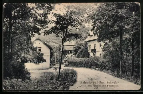 AK Rainwiese /Böhm. Schweiz, Hotel und Pension mit Forsthaus