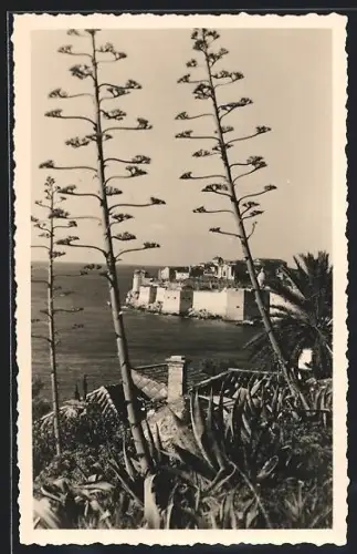 AK Dubrovnik, Panorama