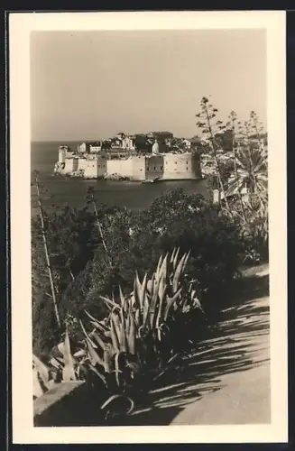 AK Dubrovnik, Panorama