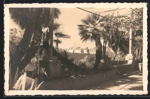 AK Dubrovnik, Panorama