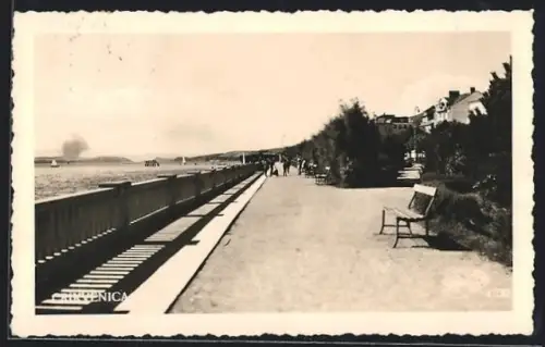 AK Crikvenica, Panorama mit Promenade