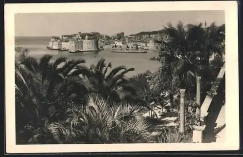 AK Dubrovnik, Panorama