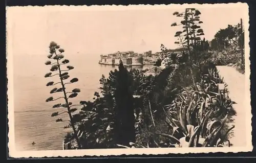 AK Dubrovnik, Panorama