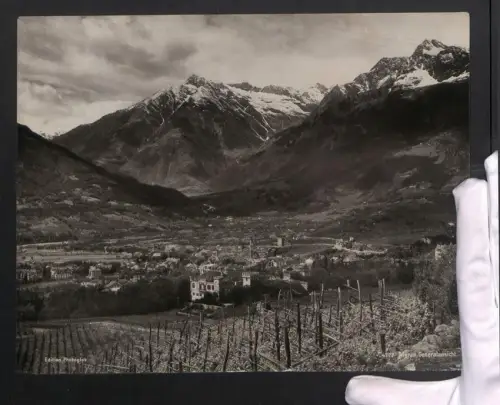 Fotografie Photoglob, Ansicht Meran, Blick von den Weinreben nach der Stadt, Grossformat 27 x 21cm