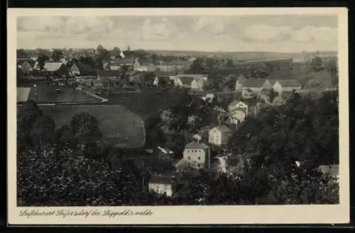 AK Seifersdorf / Dippoldiswalde, Ortsansicht mit Kirche