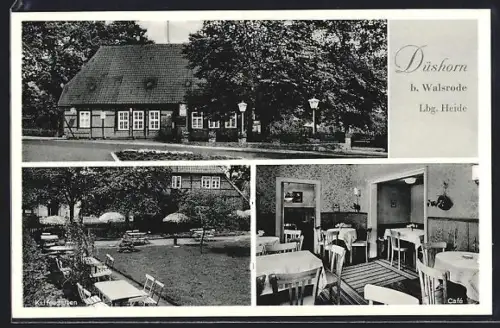 AK Düshorn b. Walsrode, Café Niedlich, Garten, Café-Innenraum