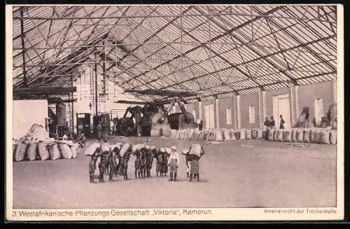 AK Kamerun, Innenansicht der Trockenhalle für Kakaobohnen, Westafrikanische Pflanzungs-Gesellschaft Viktoria