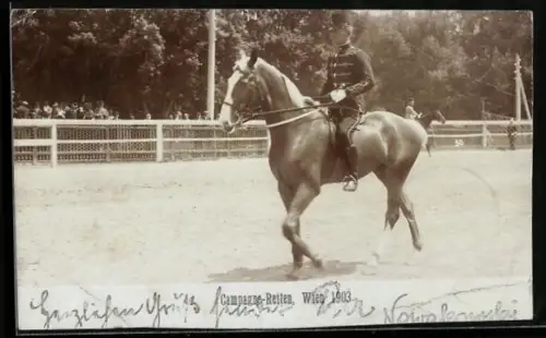 AK Wien, Campagne-Reiten 1903, Jockey auf Pferd, Pferdesport