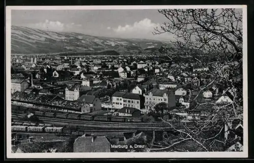 AK Marburg a. Drau, Panorama