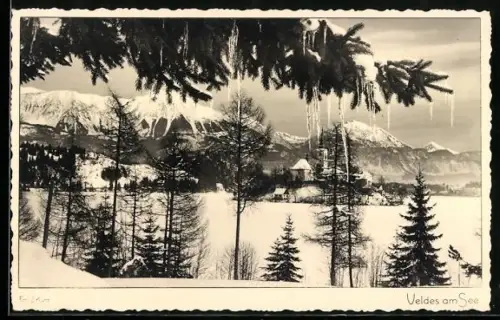 AK Veldes am See, Winterpanorama