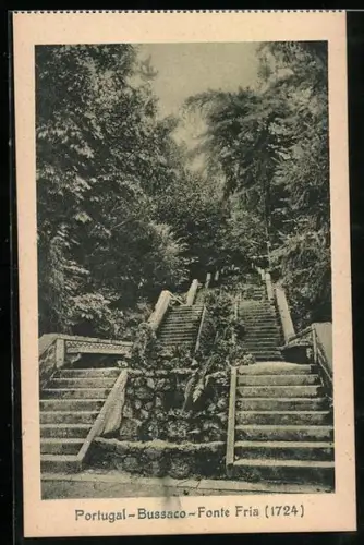 AK Bussaco, Fonte Fria