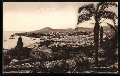 AK Madeira-Funchal, Panorama