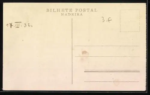 AK Madeira-Funchal, Panorama