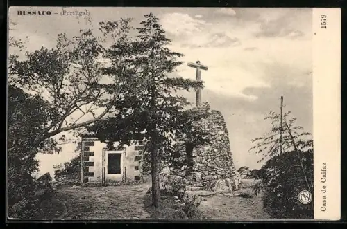 AK Bussaco, Casa de Caifaz