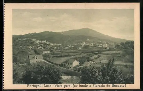 AK Luso, Vista geral ao fundo a Floresta do Bussaco