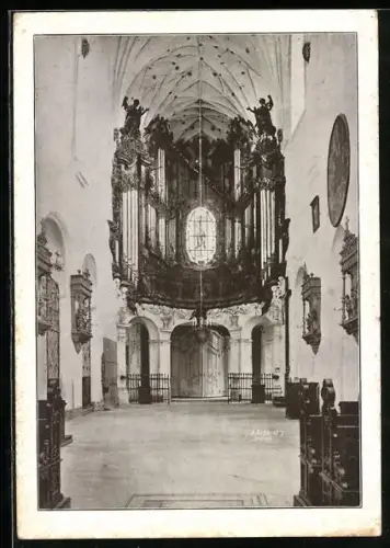AK Oliva, Grosse Orgel in der Klosterkirche