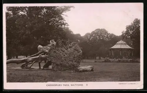 AK Watford, Cassiobury Park