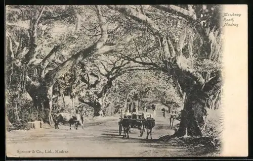 AK Madras, Mowbray Road