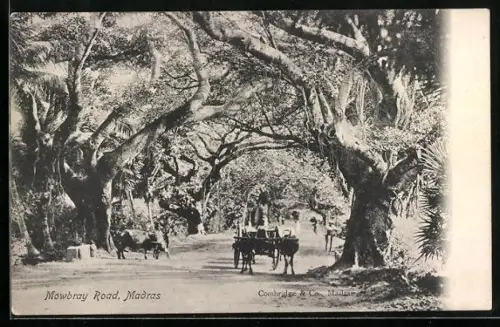 AK Madras, Mowbray Road