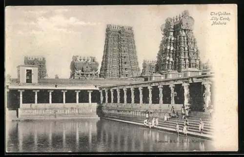 AK Madura, The Golden Lily Tank