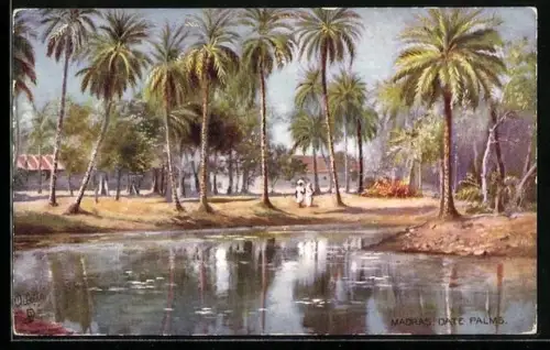 Künstler-AK Madras, Date Palms