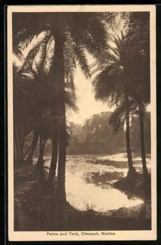 AK Madras, Palms and Tank, Chepauk