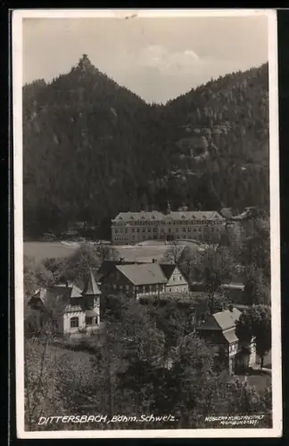 AK Dittersbach / Jetrichovice, Teilansicht der Ortschaft