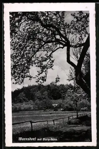 AK Warnsdorf, Ortspartie mit Burgsberg