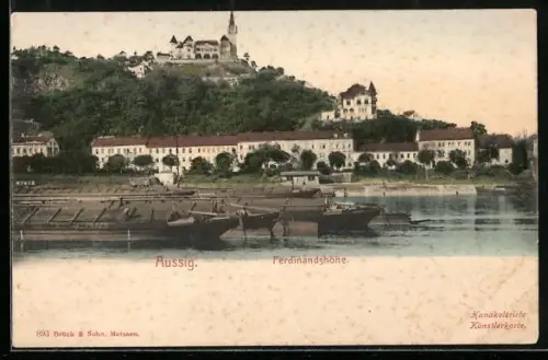 AK Aussig-Usti, Ferdinandshöhe, Blick über den Fluss, Schiffe