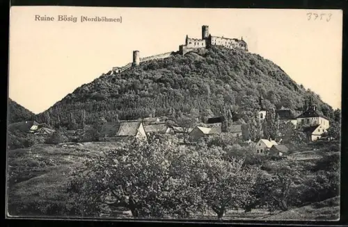 AK Bösig /Nordböhmen, Ortspartie mit Ruine