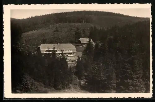 AK Grunwald /Glatz, Gebirgsbaude Schierlichmühle mit Umgebung