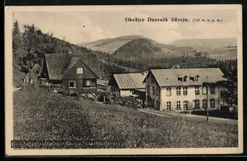 AK Bad Reinerz, Teilansicht des Ortes mit Umgebung