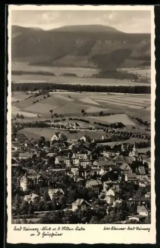 AK Bad Reinerz, Blick auf Villen mit Heuscheuer