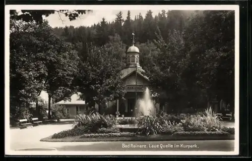 AK Bad Reinerz, Laue Quelle im Kurpark