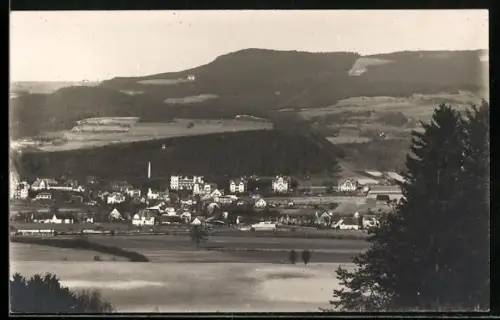 AK Bad Kudowa, Panorama