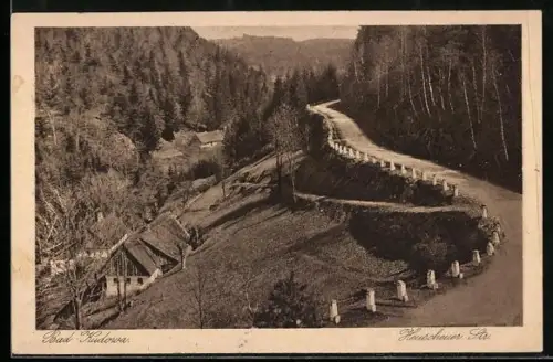 AK Bad Kudowa, Heuscheuer-Strasse