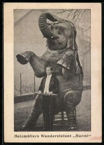 AK Holzmüllers Wander-Zirkus-Elefant Nurmi