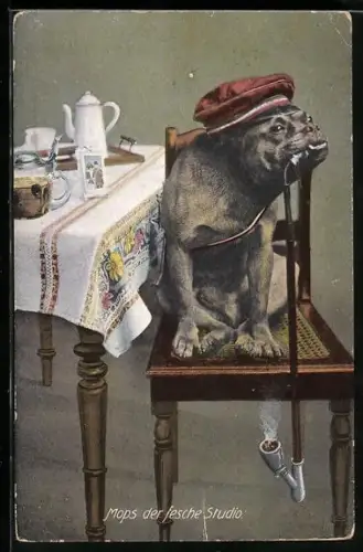 AK Bulldogge mit Studentenmütze und Pfeife am gedeckten Tisch, vermenschlichte Tiere